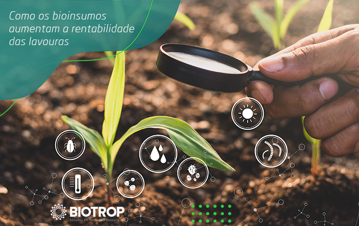 How bioinputs increase crop profitability