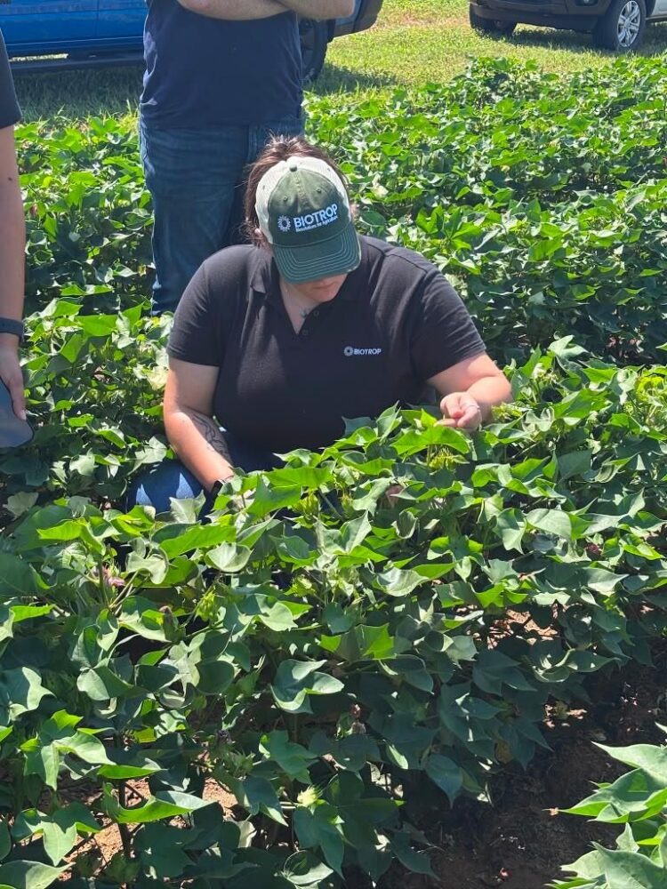 BIOTROP in the field