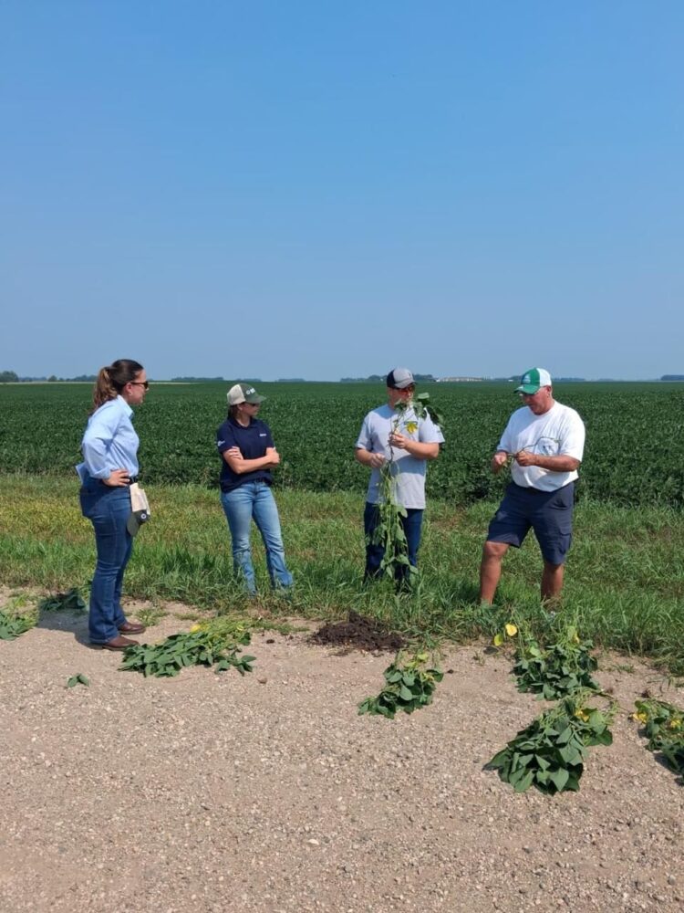 BIOTROP in the field