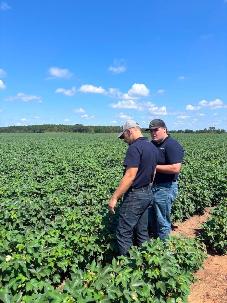 BIOTROP in the field