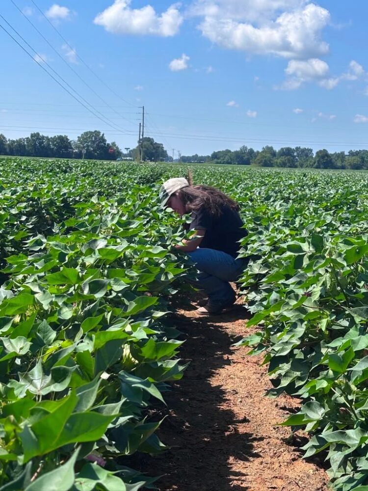 BIOTROP in the field