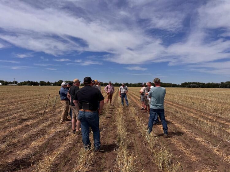 BIOTROP in the field